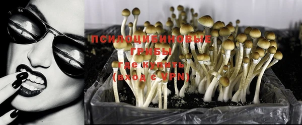гидропоника Волоколамск
