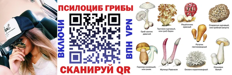 Псилоцибиновые грибы Psilocybine cubensis  Купить  Сычёвка 